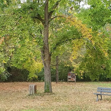La Maison Des Cornières