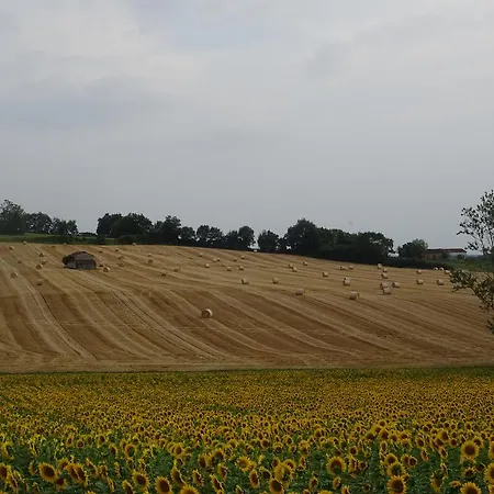 La Maison Des Cornieres Dom wakacyjny Fourcès